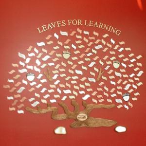 Click to Enlarge Leaves for Learning Model 485