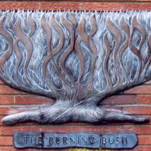 Click to Enlarge Burning Bush